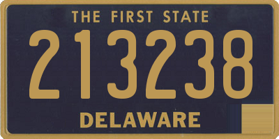 DE license plate 213238