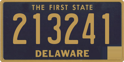 DE license plate 213241