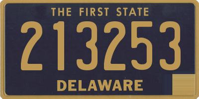 DE license plate 213253