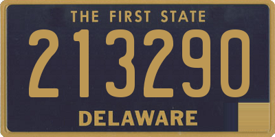 DE license plate 213290