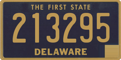 DE license plate 213295