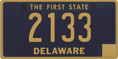 DE license plate 2133