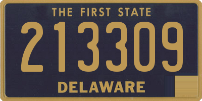 DE license plate 213309