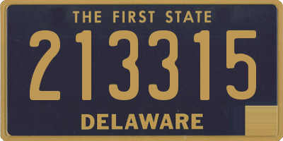 DE license plate 213315