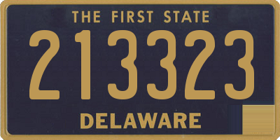 DE license plate 213323