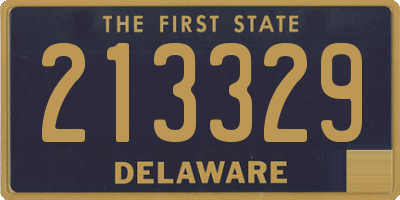 DE license plate 213329