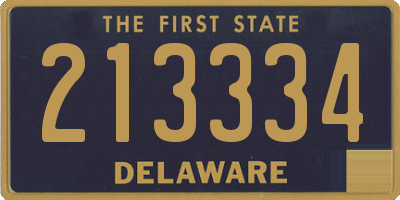 DE license plate 213334