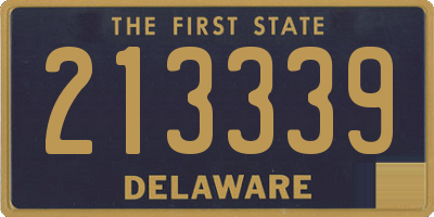 DE license plate 213339