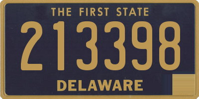 DE license plate 213398