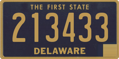 DE license plate 213433