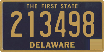 DE license plate 213498