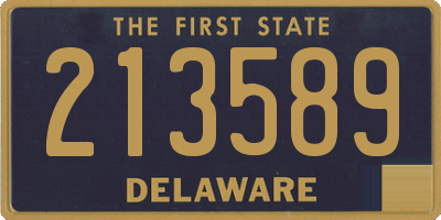 DE license plate 213589