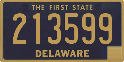 DE license plate 213599