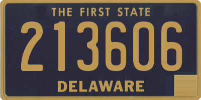 DE license plate 213606