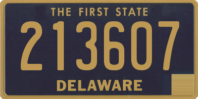 DE license plate 213607