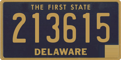 DE license plate 213615