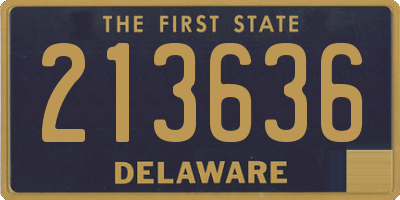 DE license plate 213636