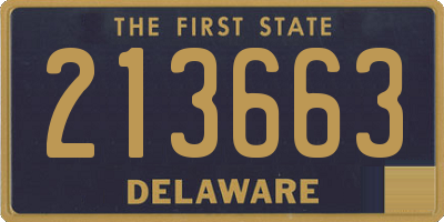 DE license plate 213663