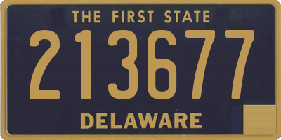 DE license plate 213677