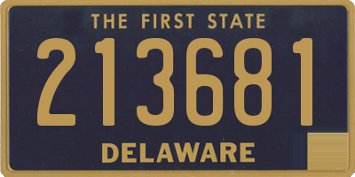 DE license plate 213681