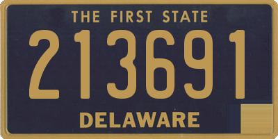 DE license plate 213691