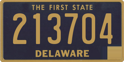 DE license plate 213704