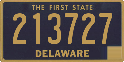 DE license plate 213727