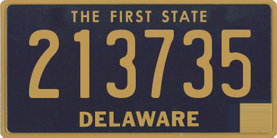 DE license plate 213735