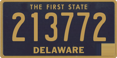 DE license plate 213772