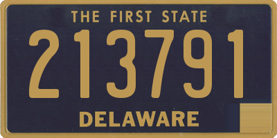 DE license plate 213791