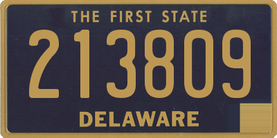 DE license plate 213809