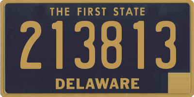 DE license plate 213813