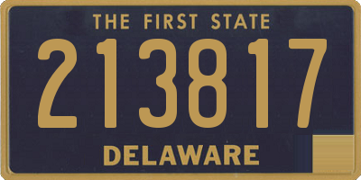 DE license plate 213817