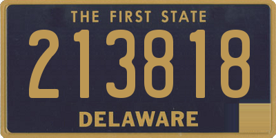 DE license plate 213818