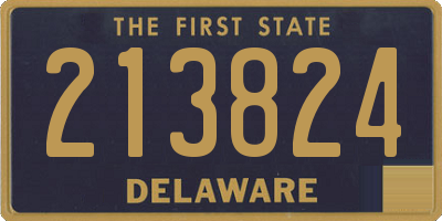 DE license plate 213824