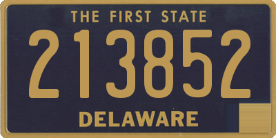 DE license plate 213852
