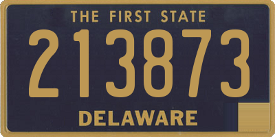 DE license plate 213873