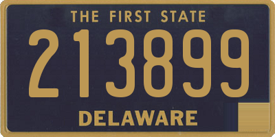 DE license plate 213899