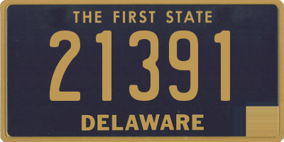 DE license plate 21391