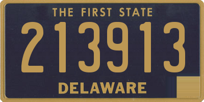 DE license plate 213913