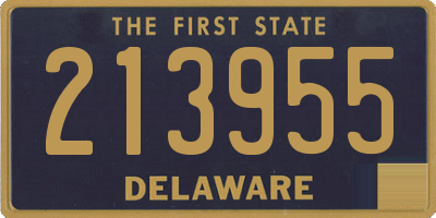 DE license plate 213955