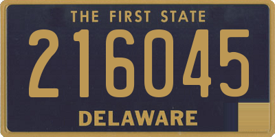 DE license plate 216045