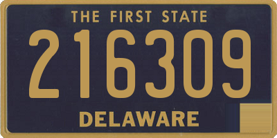 DE license plate 216309