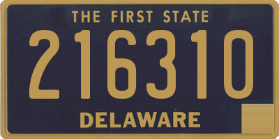 DE license plate 216310