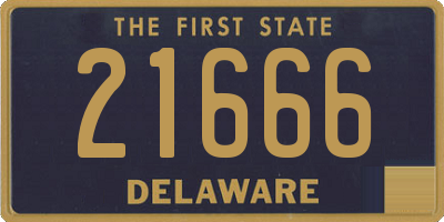 DE license plate 21666