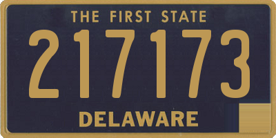 DE license plate 217173