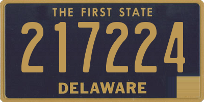 DE license plate 217224