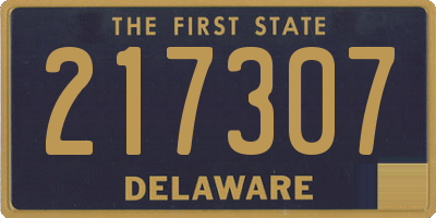 DE license plate 217307