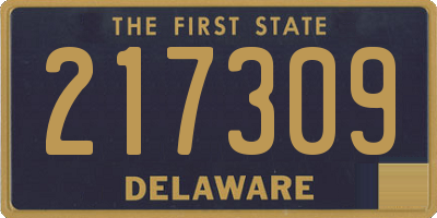 DE license plate 217309