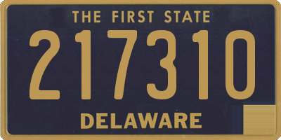 DE license plate 217310